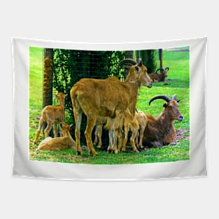 Billy Goats Gruff Tapestry