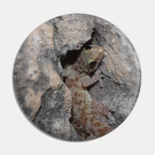 Mediterranean House Gecko Pin