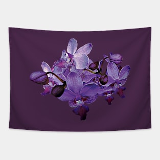 Orchids - Delicate Purple Orchids Tapestry