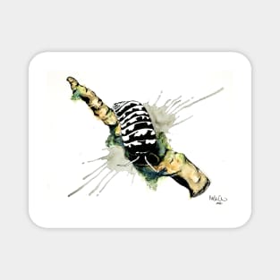 Armadillidium Maculatum "Zebra" Isopod Watercolor Magnet