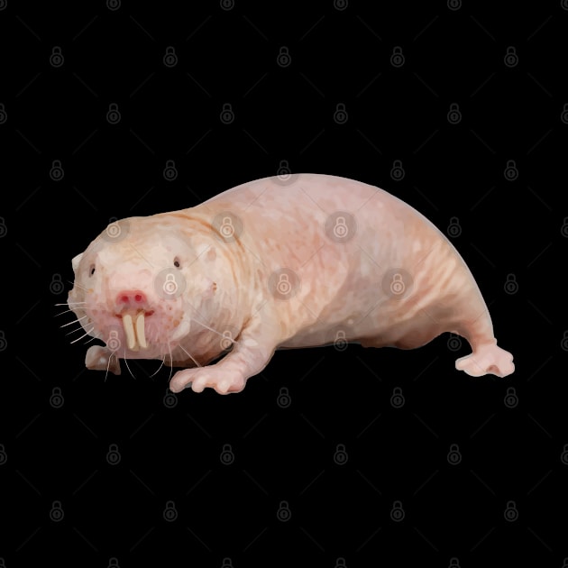 Naked Mole Rat Gift Funny Sand Puppy Hairless Rodent Vermin Kids Animal Biology by Shirtsurf