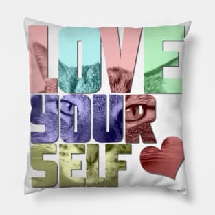 Love yourself cat's eyes love heart design Pillow