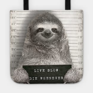 Sloth in a Mugshot - Print / Home Decor / Wall Art / Poster / Gift / Birthday / Sloth Lover Gift / Animal print Canvas Print Tote