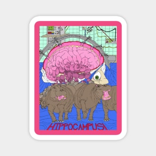 Hippocampus Magnet