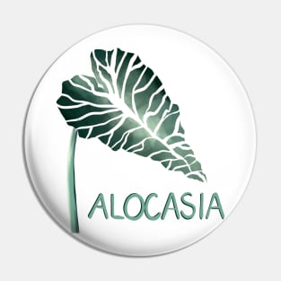 Alocasia Amazonica Pin