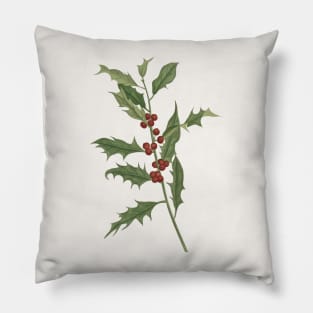 Ilex Plant Vintage Botanical Illustration Pillow