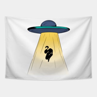 UFO Person Silhouette Tapestry