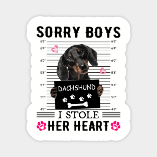 Black Dachshund Sorry Boys I Stole Her Heart Magnet