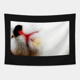 A White Cat Tapestry