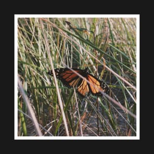 Butterfly T-Shirt