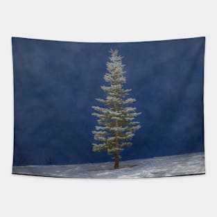 The Lone Pine on a fog filled winter day. Tapestry