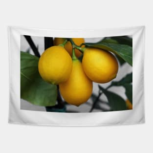 Lemons Tapestry