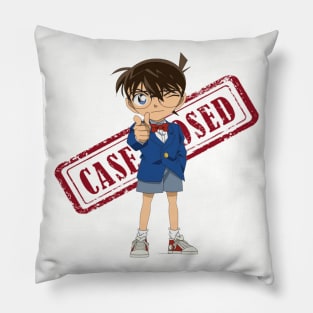 cased closed Pillow