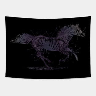 troubadours horse Tapestry