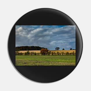 Autumn fields Pin