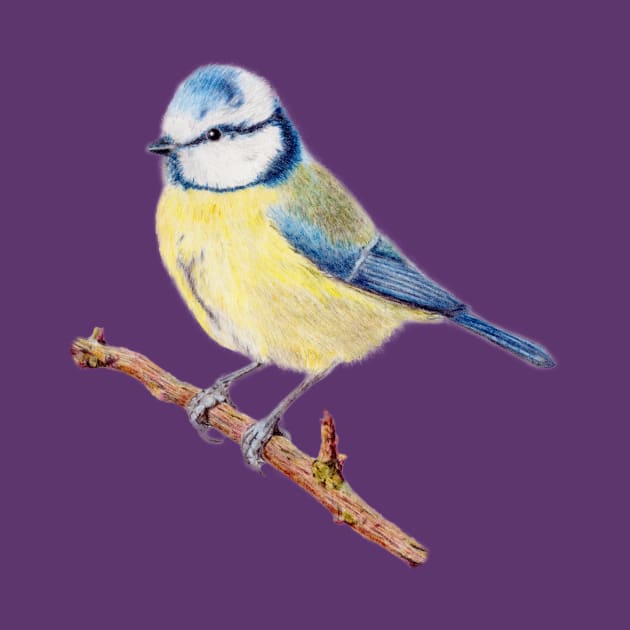 Blue Tit by CasmahCreations