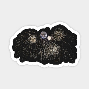 Fireworks 2 Magnet