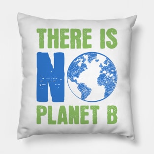 There is no Planet B Pillow