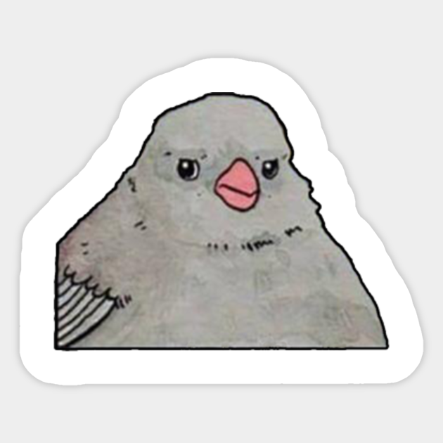 Annoyed Bird Meme Annoyed Bird Pegatina Teepublic Mx