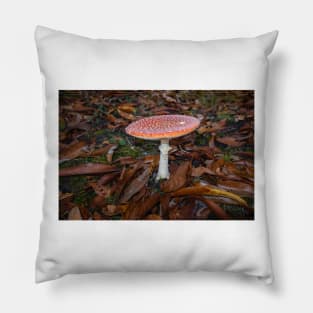 Fly agaric, Amanita muscaria Pillow