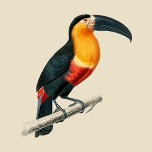 Vintage toucan bird-animalia clothing T-Shirt