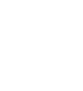 Father of the Bride Magnet