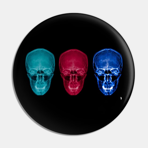 Three skulls , coloured X-ray skulls. Pin by Bird