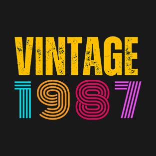 VINTAGE 1987 T-Shirt