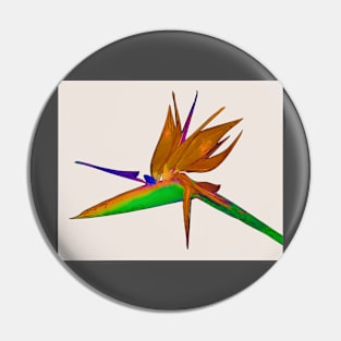 Tropical Bird Of Paradise Watercolor Pin