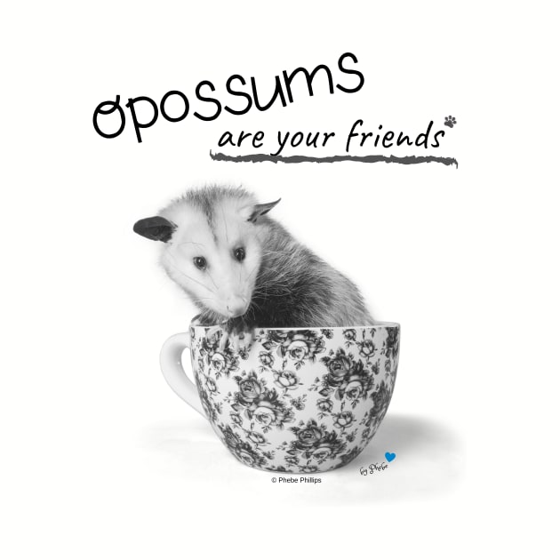 Opossums Are Your Friends by Phebe Phillips