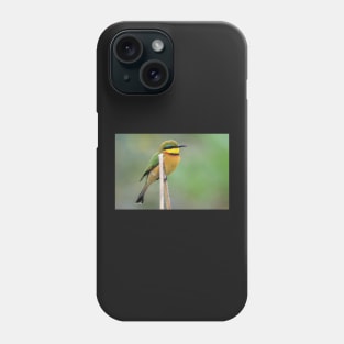 Little Bee-eater, Zambia Phone Case