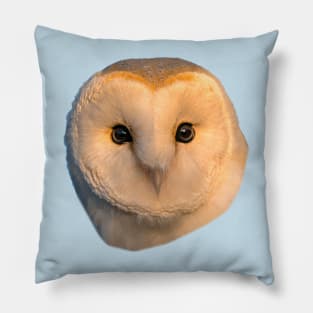 Barn Owl Face Pillow