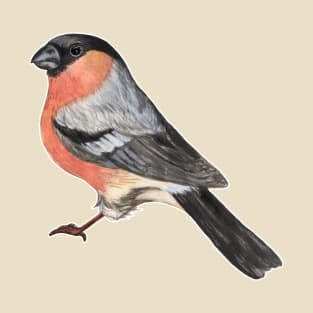 Eurasian bullfinch bird T-Shirt