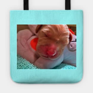 New Born Golden Retriever Tote