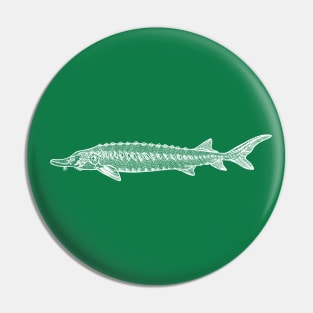 European Sea Sturgeon hand drawn fish design Pin