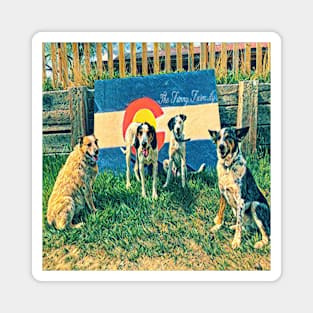 Colorado Dog Vibes Magnet