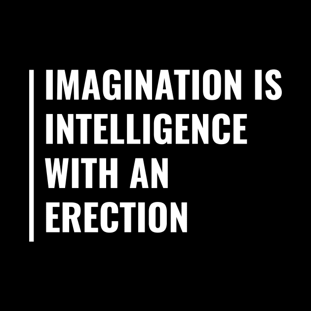 Imagination is Intelligence. Funny Imagination Quote by kamodan