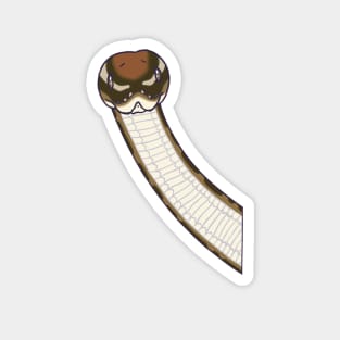 peeping snek design Magnet