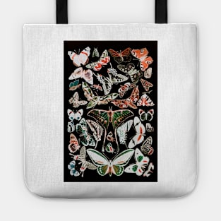 Dark Butterfly French Butterfly Chart by Adolphe Millot Tote