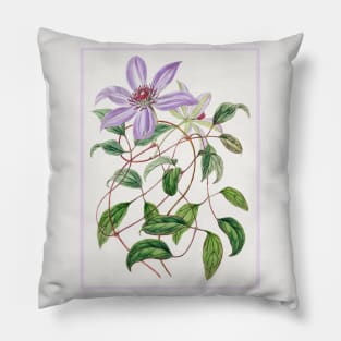 Violet Clematis Flower Branch Pillow