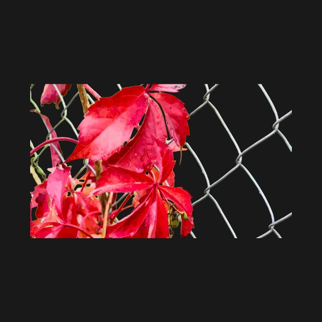 Red leaves on a metal grid by Evgeniya