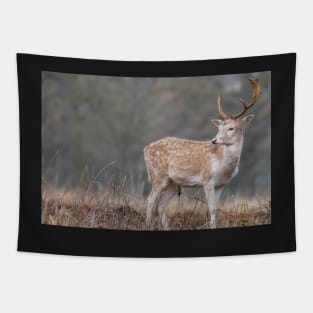 Majestic lone fallow deer Tapestry