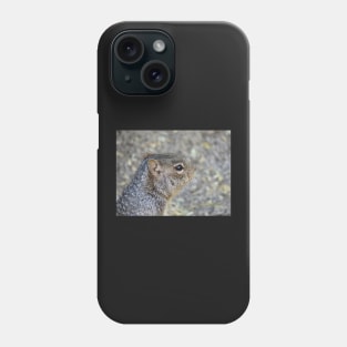 Rock Squirrel Phone Case