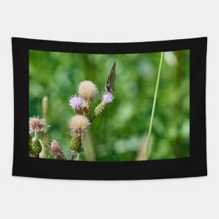 Thistle nectar Tapestry