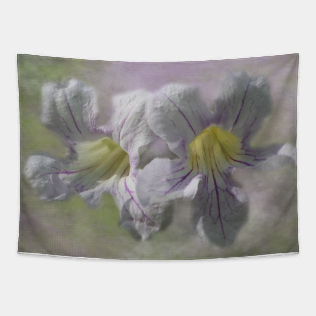 Lavender Trumpet Vine Flower Digital Art Tapestry by ButterflyInTheAttic