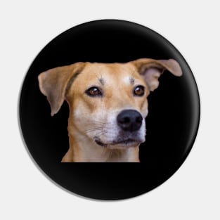 dog Pin