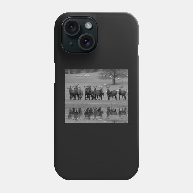 red deer by the water Phone Case by Simon-dell