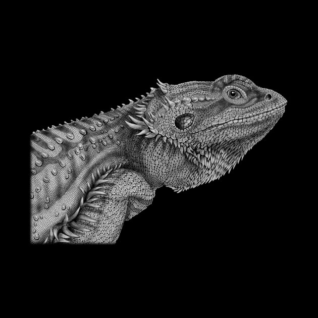 Bearded Dragon by Tim Jeffs Art