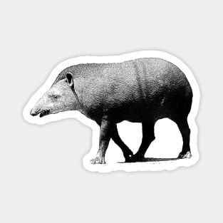 Tapir Magnet