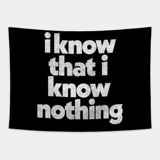 I Know That I Know Nothing / Philosophy Quote Tapestry